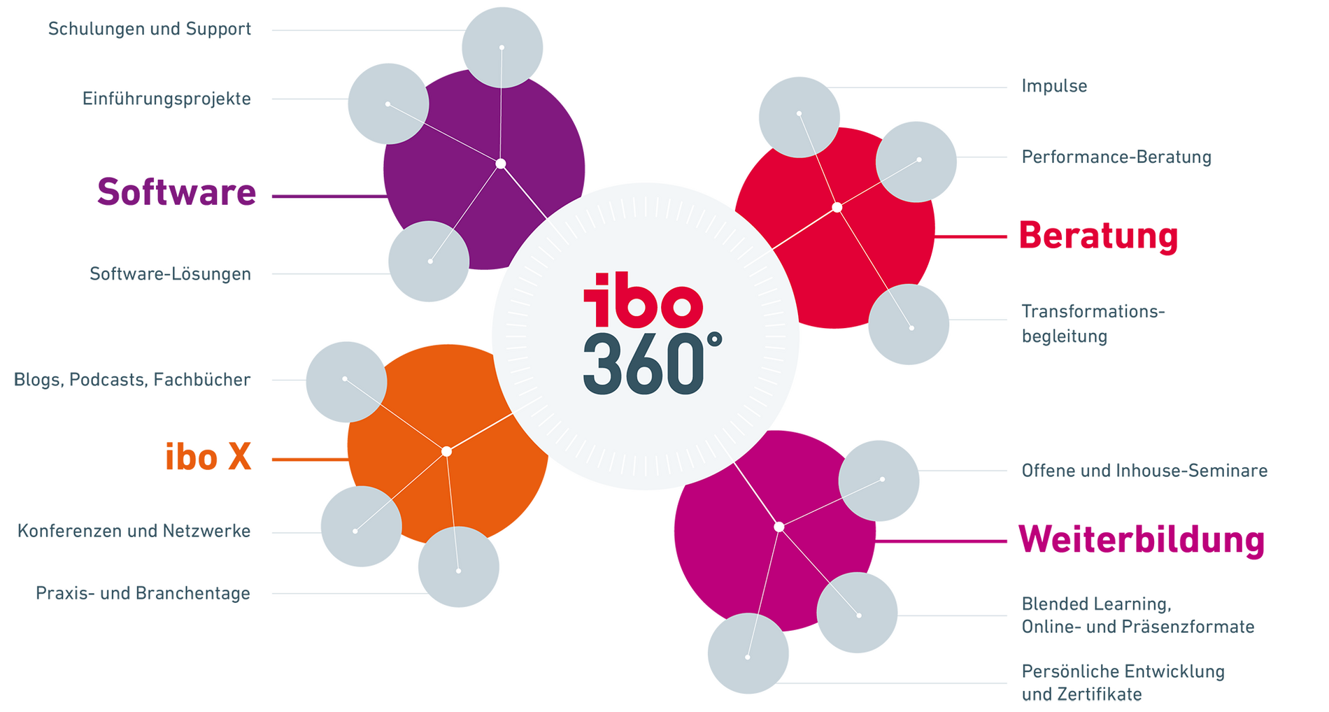 360 Grad - Organisations-Portfolio, ibo ist Ihr Full-Service-Partner für Organisation