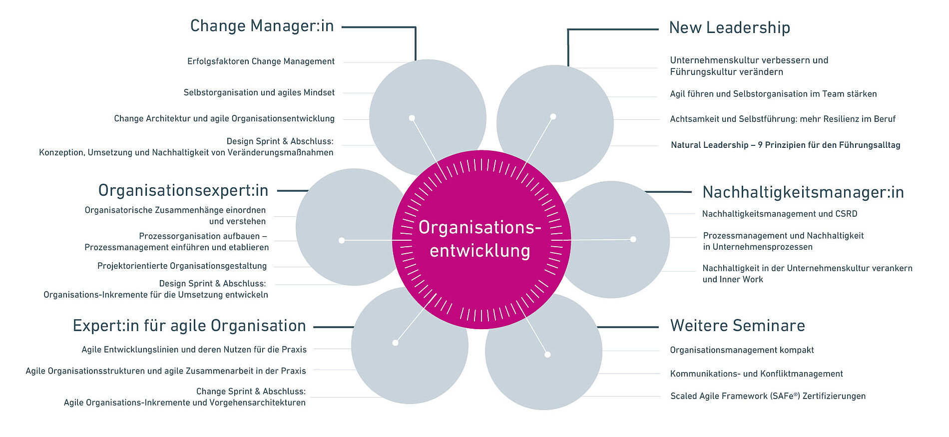 Portfolio ibo Akademie Organisationsentwicklung Weiterbildungsprogramm