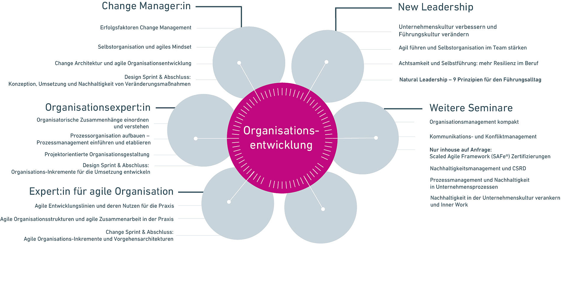 Portfolio ibo Akademie Organisationsentwicklung Weiterbildungsprogramm