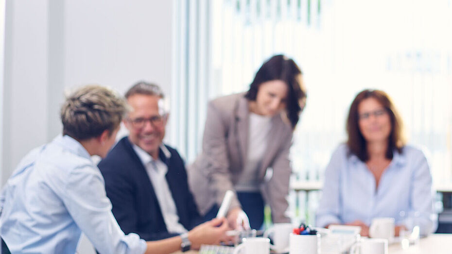 ibo Berater beim Meeting mit Kunden zu Organisationsthemen und Business-Analysen