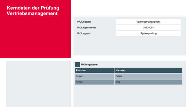 Kerndaten der Prüfung (Revisionsbericht)