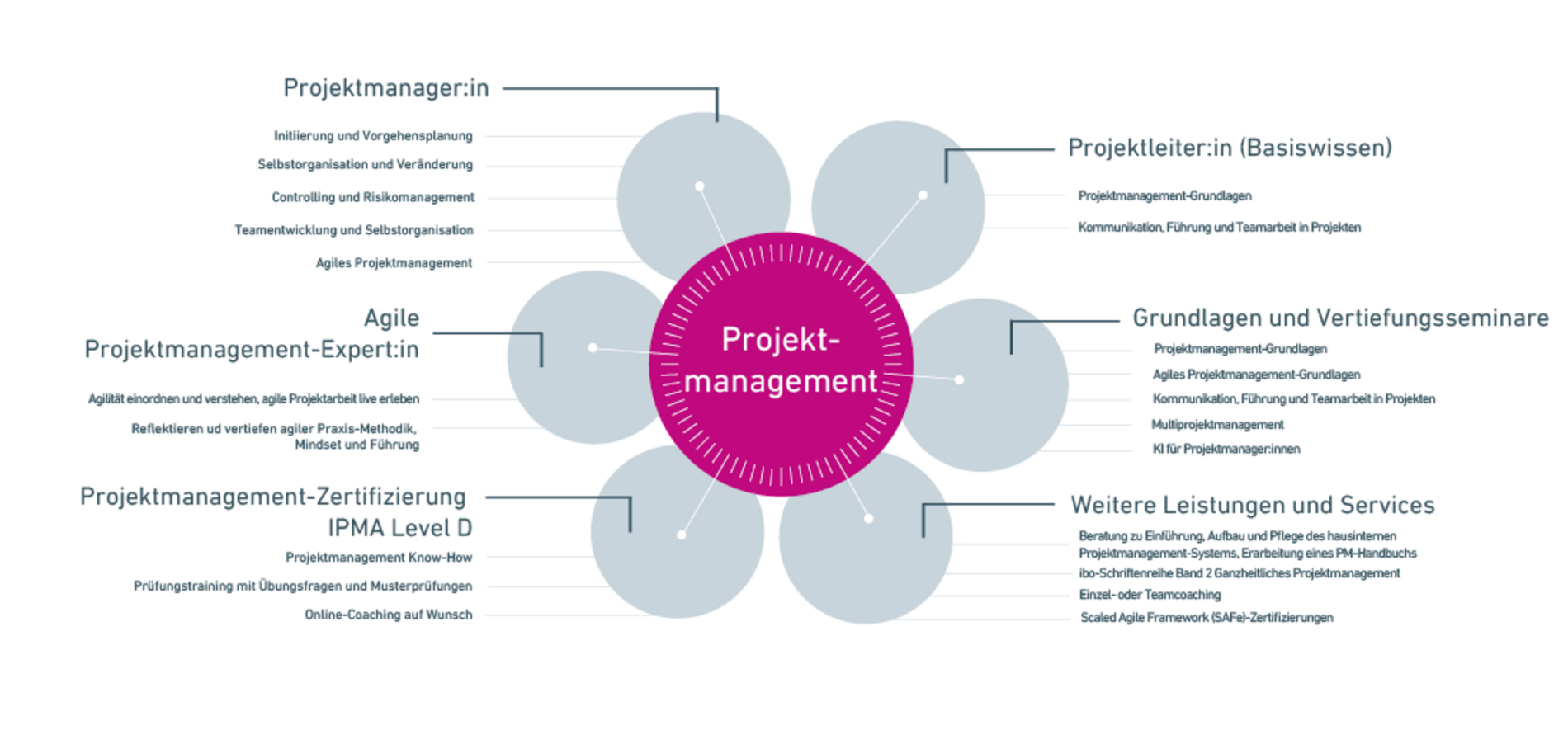 Portfolio Projektmanagement-Weiterbildungen bei ibo