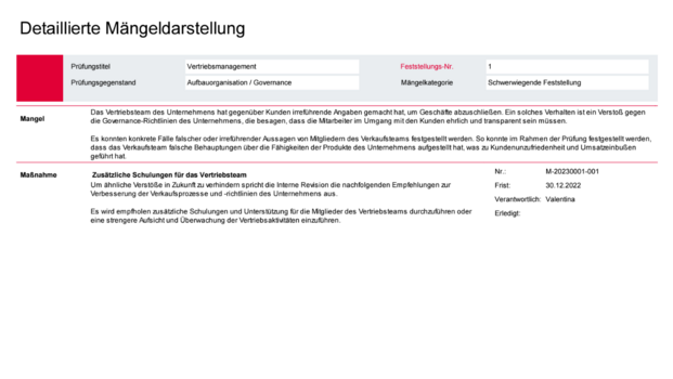 Detaillierte Mängeldarstellung (Revisionsbericht)